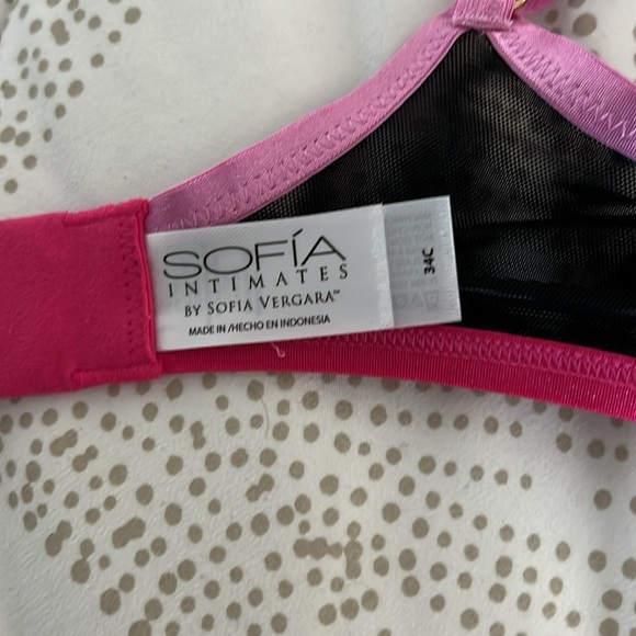 Sofia Intimates by Sofia Vergara Sheer Mesh Color Block Balconette Size 34C - Picture 9 of 12